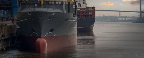 Cargo ships in the harbour with a view of a bridge