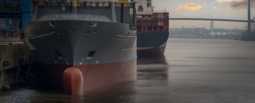 Cargo ships in the harbour with a view of a bridge by Jonas Weinitschke