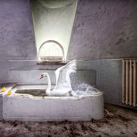 Schwan in der Badewanne von Marcel van Balken