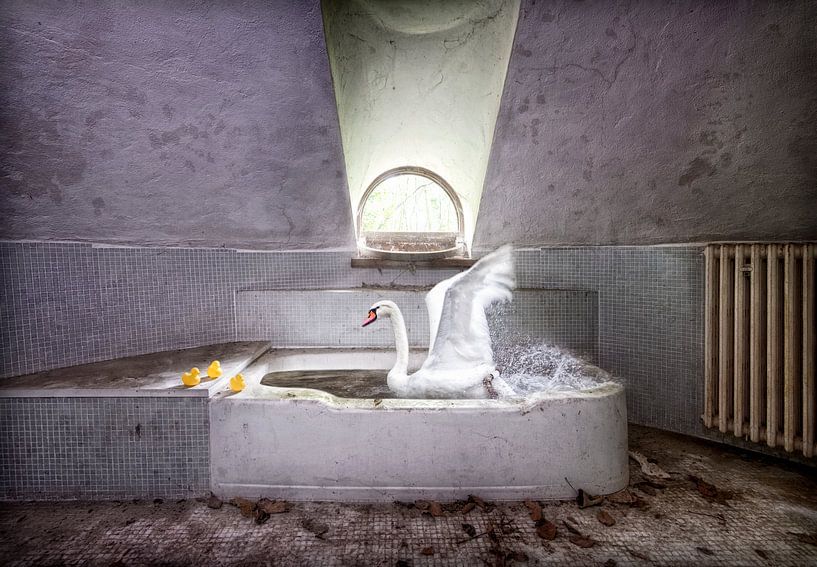 Zwaan in bad oude villa van Marcel van Balken