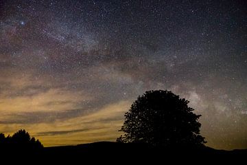 Sterren van melkwegstelsel kern over zwarte bos bomen panorama bij nacht van adventure-photos