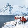 Cottages à Hamnoy sur Ageeth Groen