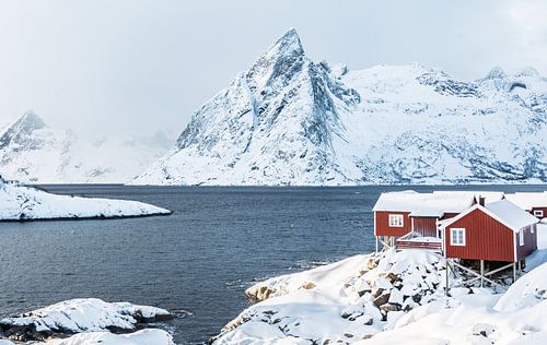 Cottages in Hamnoy
