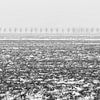 Winter in de Alblasserwaard by Mark den Boer