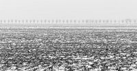 Winter in de Alblasserwaard