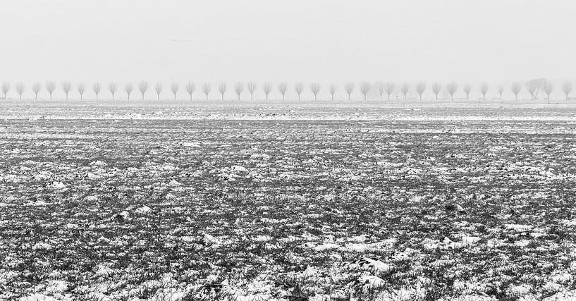 Winter in de Alblasserwaard by Mark den Boer
