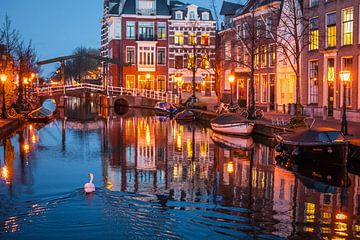 Leiden - Schwan auf dem Oude Rijn während der blauen Stunde (0046)