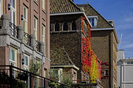 Najaar aan de Mauritskade Den Haag.