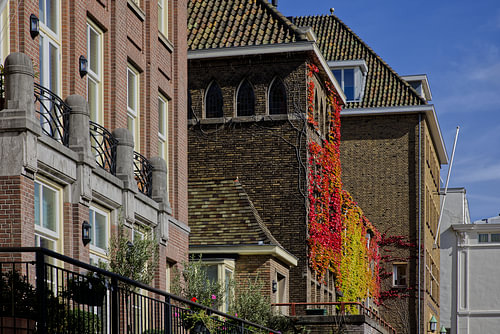 L'automne sur la Mauritskade, à La Haye.