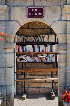 France mini library by Blond Beeld