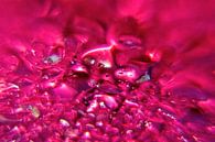 Red Drops van Alex Hiemstra thumbnail