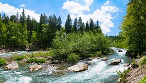 Kleine Insel im Fluss Breitach