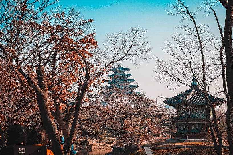 Seoul by Hello Pompoyo