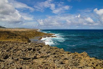 Wellen an der zerklüfteten Nordküste von Curacao von rene marcel originals
