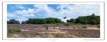 Parc national de Sallandse Heuvelrug Pays-Bas sur Richard Wareham