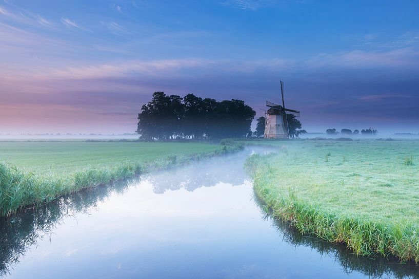 Mill the Elephant by Willemke de Bruin