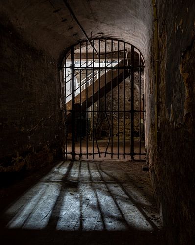 Il existe une solution sur Nancy Bogaert