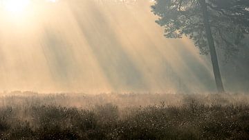 Prachtig sfeer landschap van Jan Linskens