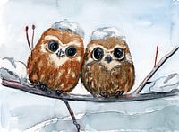 Twee baby uiltjes in de sneeuw