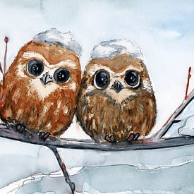 Twee baby uiltjes in de sneeuw van Anke Meijer
