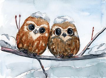 Two baby owls in the snow by Anke Meijer