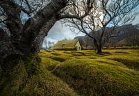 Kerk in ijsland