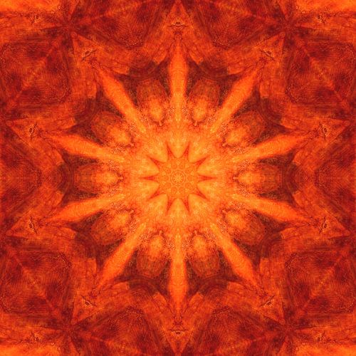 Mandala - Bloem des Levens