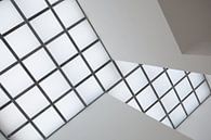 Dakraam van HANS VAN DAM thumbnail