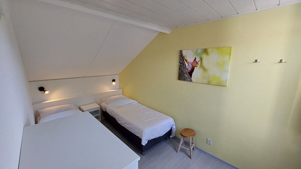 Eichhörnchen kommt quietschend  von Sam Mannaerts 