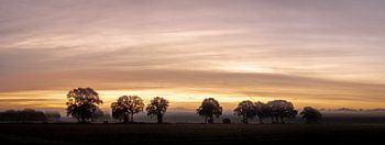Zonsopkomst bij Berghem