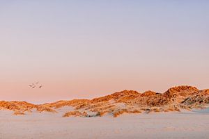 Pastellfarben bei Sonnenuntergang in den Dünen