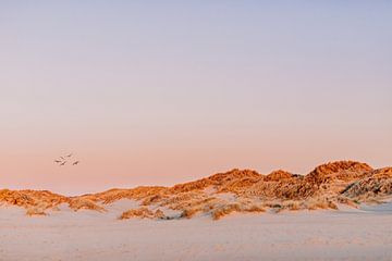 Pastel kleuren tijdens zonsondergang in duinen van Yvette Baur