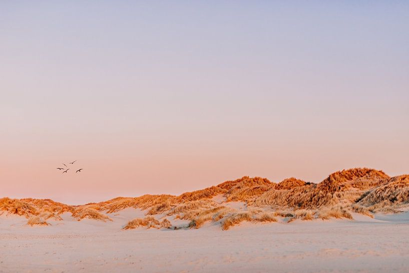Pastel kleuren tijdens zonsondergang in duinen van Yvette Baur