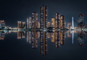 Tokyo Mirror van Mario Calma