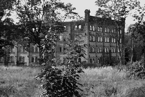 Ruïne van het opslaggebouw van het molencomplex Böllberg in Halle in Duitsland