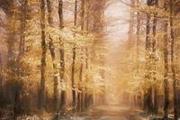 Chalkwood