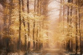 Chalkwood by Lars van de Goor
