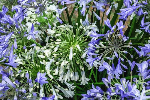 digi painted flowers 01