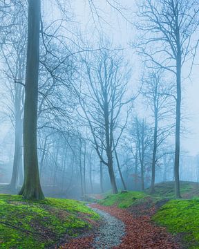 Wassenaar in the fog