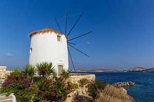 Windmolen op Paros, Griekenland van Adelheid Smitt
