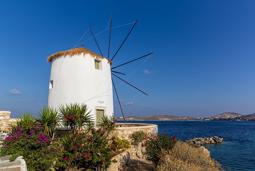 Windmühle auf Paros, Griechenland von Adelheid Smitt