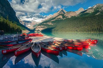 Which one will I choose? I take a red one, I think !! by Loris Photography