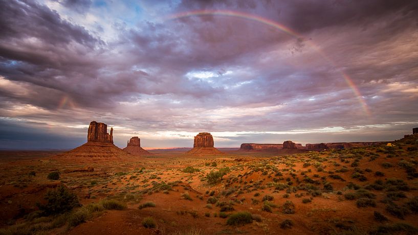 Monument Valley Rainbow par Edwin Mooijaart