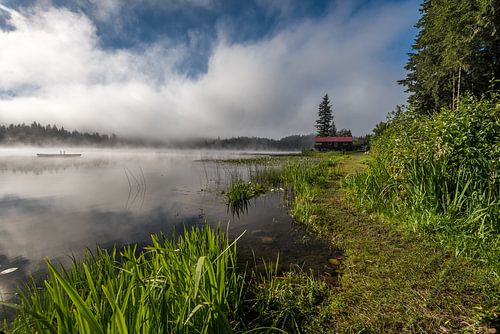 Een mistige morgen aan turtle lake Canada