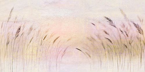 Scandinavische natuur bij zonsopgang