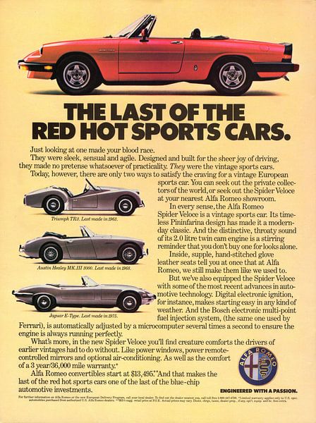 1985 Alfa Romeo Spider Veloce Advertisement by Atelier Liesjes