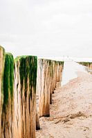 Seaside