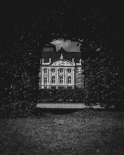 Das Kurfürstliche Schloss in Trier vom Garten aus - Mosel Reisefotografie - Deutschland