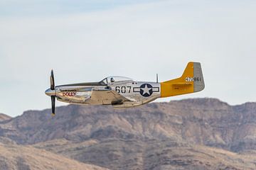 North American P-51D Mustang "Spam Can - Dolly". von Jaap van den Berg