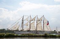 Tallship Esmeralda - Sail  Amsterdam van Barbara Brolsma thumbnail